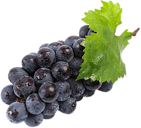 포도